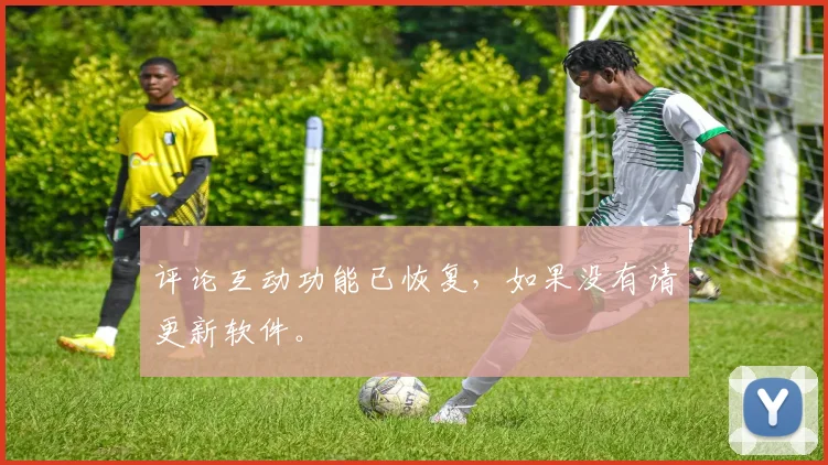 评论互动功能已恢复，如果没有请更新软件。